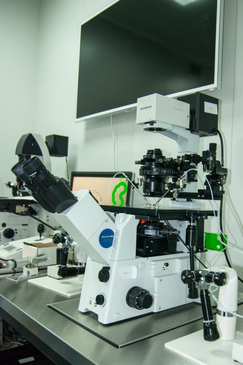 Slider image (2) Institute of Reproductive Medicine DAKHNO - IVF Clinic Ukraine